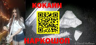 крисы Камышлов