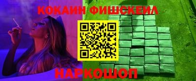 крисы Камышлов