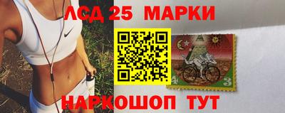 a pvp Кингисепп