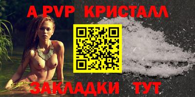 крисы Камышлов