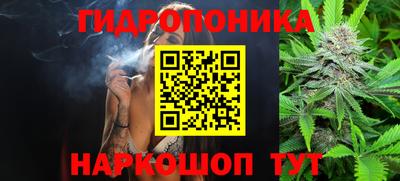 a pvp Кандалакша