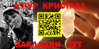 крисы Камышлов