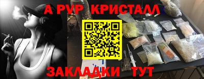 крисы Камышлов