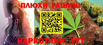 крисы Камышлов