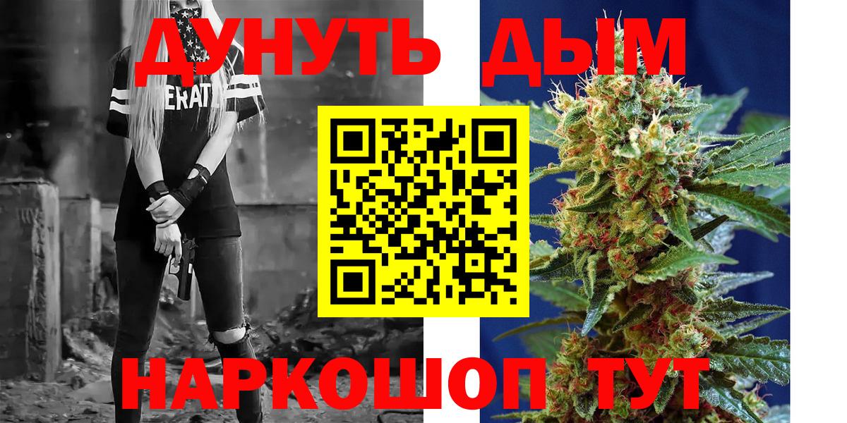 Каннабис OG Kush Курчалой
